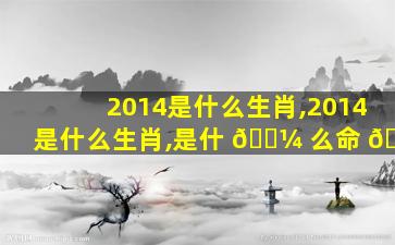 2014是什么生肖,2014是什么生肖,是什 🌼 么命 🐦